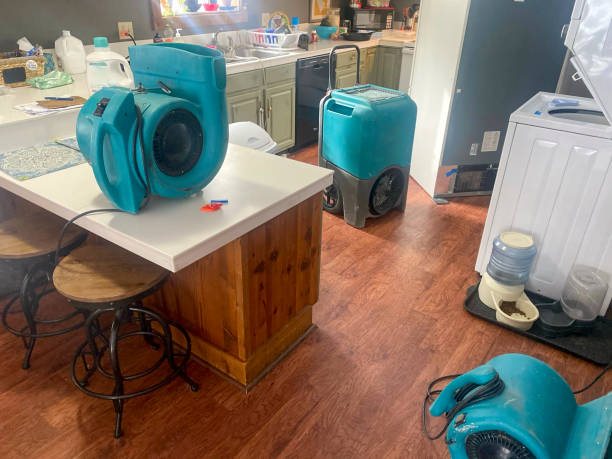 Water damage restoration mold remediation in Vincent, AL