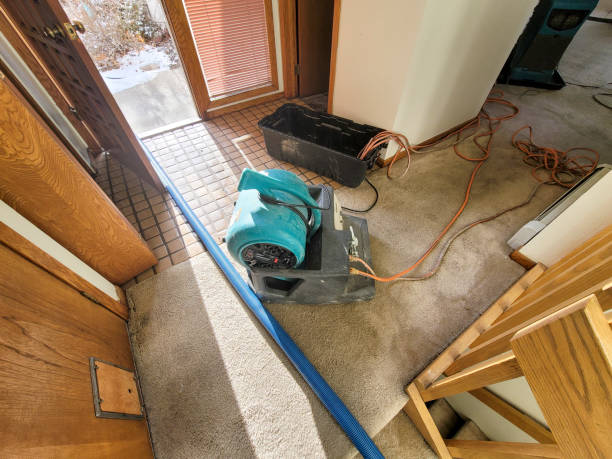 Best Carpet water damage restoration  in Vincent, AL