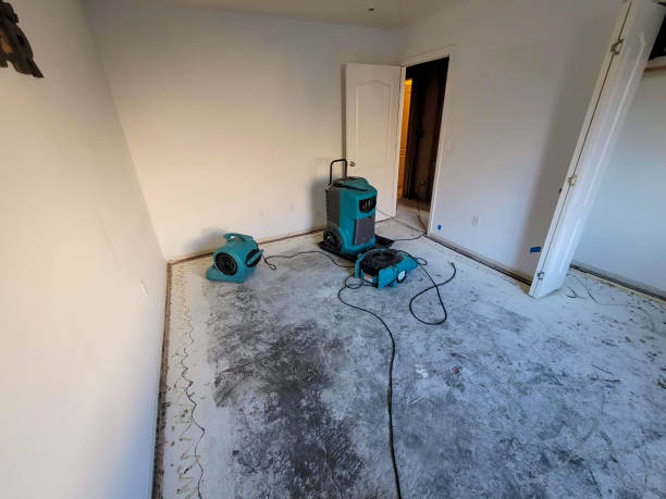 Best Flood restoration services  in Vincent, AL
