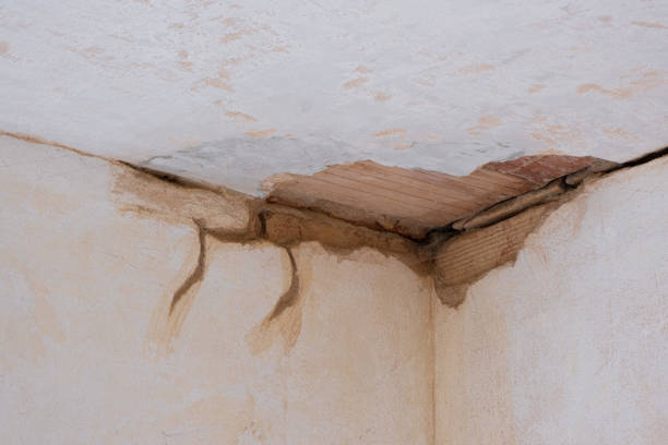 Best Water damage restoration specialists  in Vincent, AL