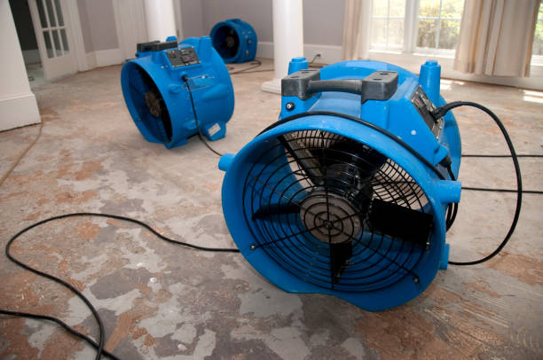 Best 24-hour water damage restoration  in Vincent, AL