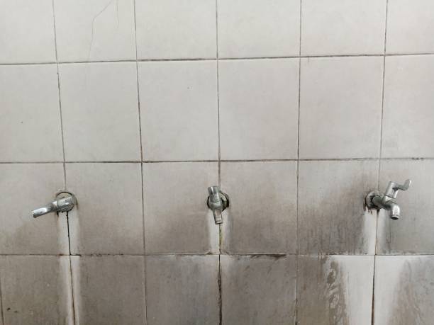 Best Water damage restoration near me  in Vincent, AL