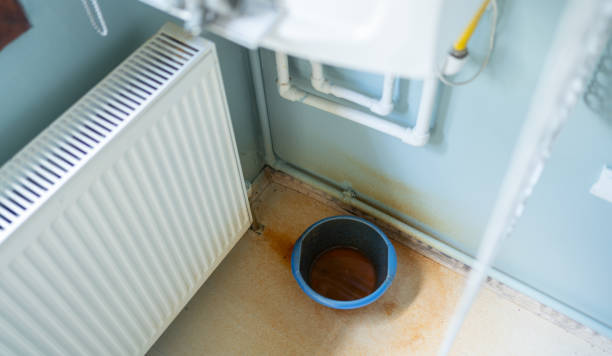 Best Water damage restoration near me  in Vincent, AL